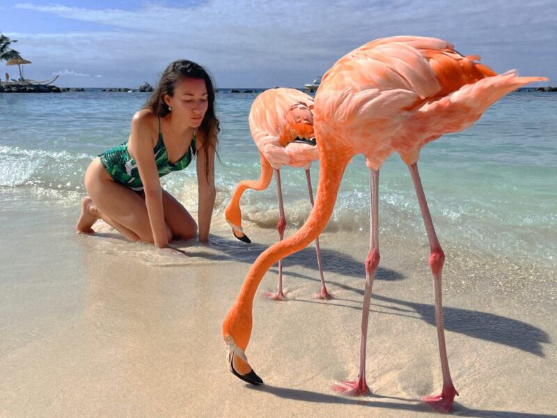 Aruba - ile trwa lot? Ile czasu leci się na Arubę