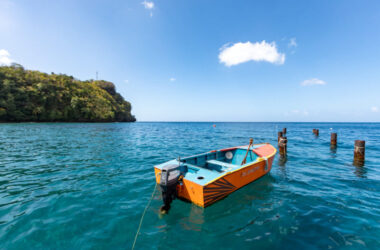 Czy na Saint Vincent i Grenadyny potrzebny jest paszport?