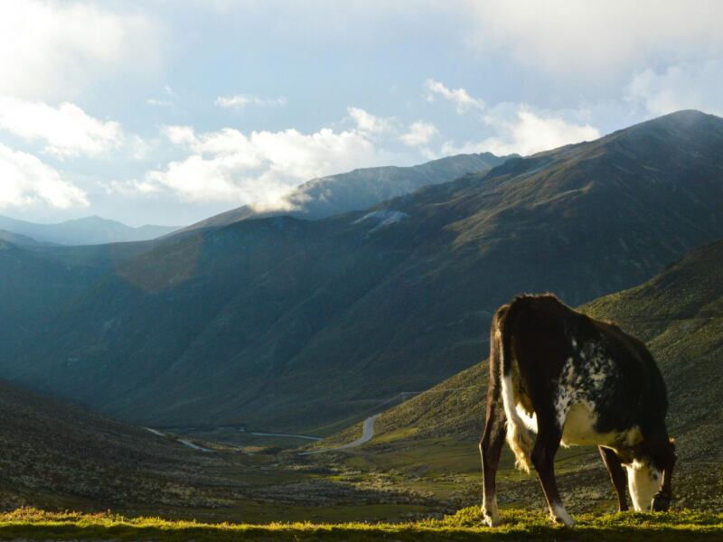 Czarterowe kontra rejsowe - z których lotów lepiej skorzystać?