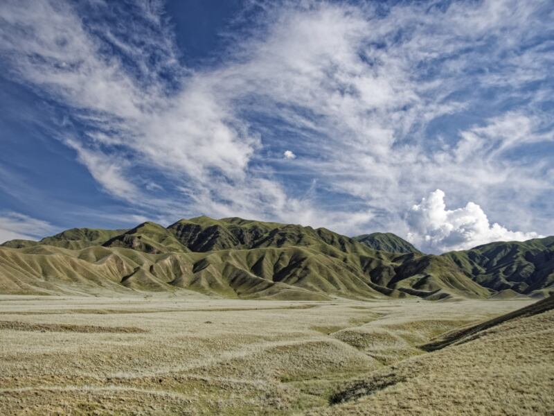Czarterowe kontra rejsowe - z których lotów lepiej skorzystać?