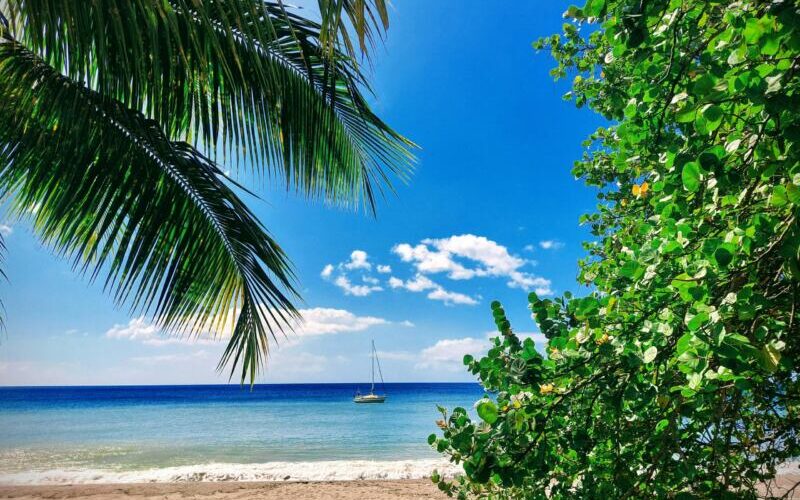 Martynika - ile trwa lot? Ile czasu leci się na Martynikę