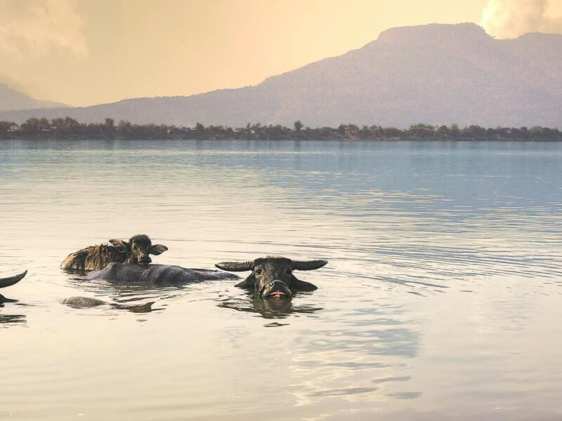 Czy są loty bezpośrednie z Polski do Laosu i ile mogą trwać?