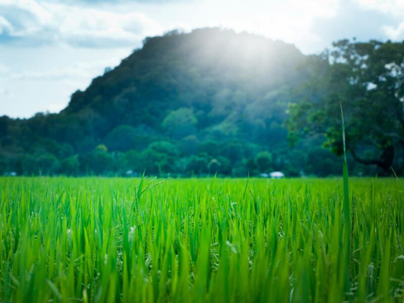 Co wpływa na długość lotu na Sri Lankę?