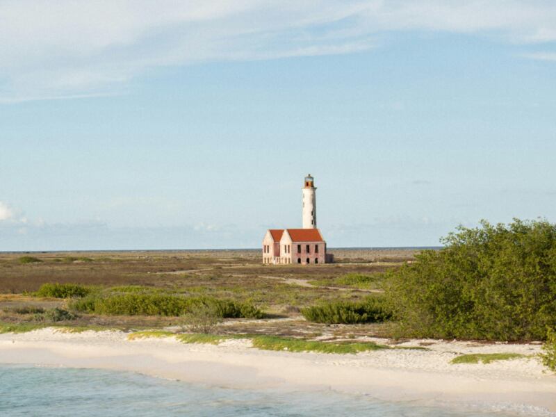 Czarterowe kontra rejsowe - z których lotów lepiej skorzystać?